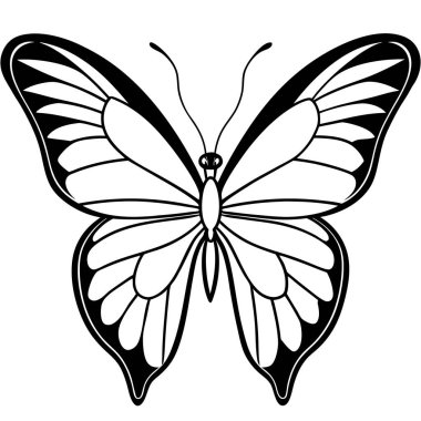 Siyah-beyaz kelebek vektörü.