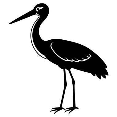 Beyaz arkaplan resimlerinde siyah leylek