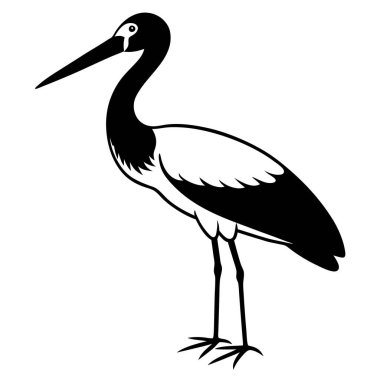 Balıkçıl kuşunun siyah beyaz çizimi
