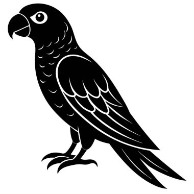 bir papağanın siyah beyaz çizimi