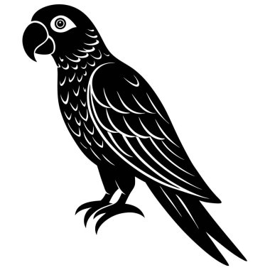 Siyah kuş silueti. vektör illüstrasyonu.