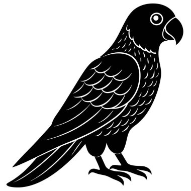 Beyaz arkaplanda siyah papağan kuşu.