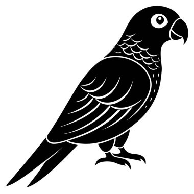 Papağan, illüstrasyon, beyaz arka plan üzerinde vektör.