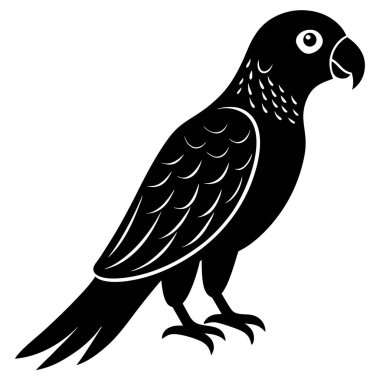 Bir papağan kuşunun siyah silueti