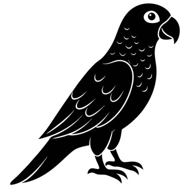 Beyaz arkaplandaki bir kuşun siyah silueti