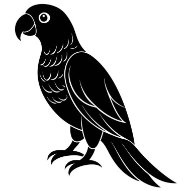 Beyaz arkaplanda siyah papağan