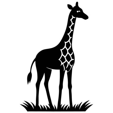 zürafa hayvan çizgi film vektör illüstrasyon grafik tasarımı