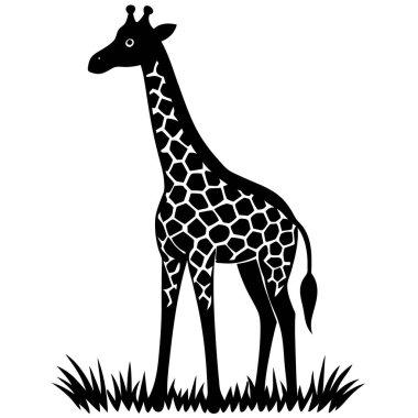 Beyaz arkaplanda bir zürafa çizgi filminin vektör çizimi