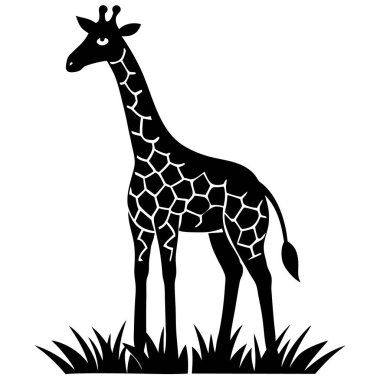 Beyaz arkaplanda bir zürafa çizgi filminin vektör çizimi