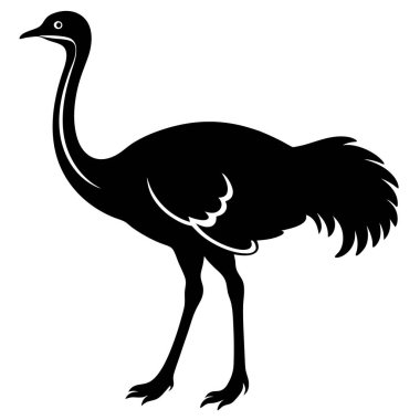 Siyah devekuşu, izole vektör çizimi, beyaz arkaplanda siluet