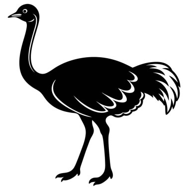 Devekuşu, illüstrasyon, beyaz arka planda siyah