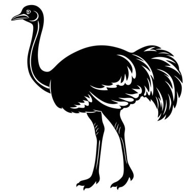 Beyaz arkaplanda devekuşu vektör silueti çizimi