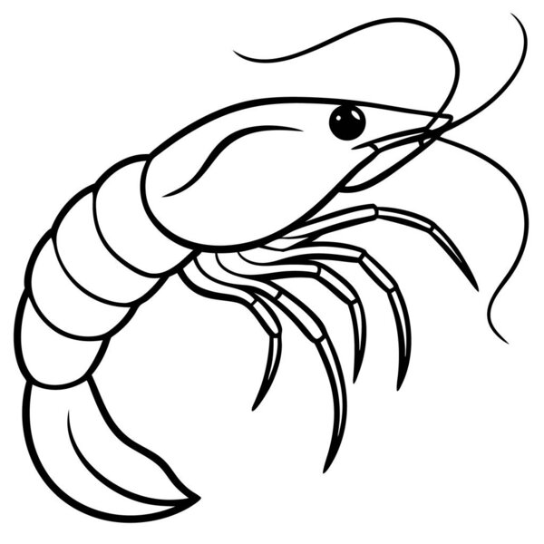 Animal shrimp vector icon silhouette