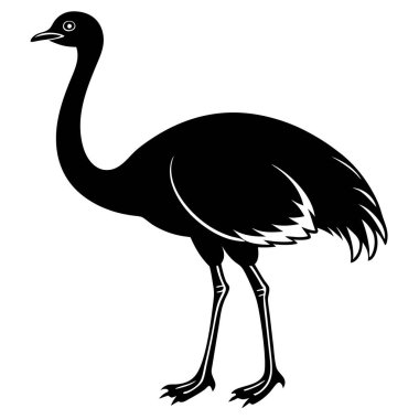 Beyaz arkaplanda devekuşu çizimi