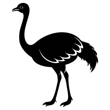 Devekuşu ikonu. Beyaz arkaplanda izole edilmiş devekuşu vektör simgesinin siyah çizimi