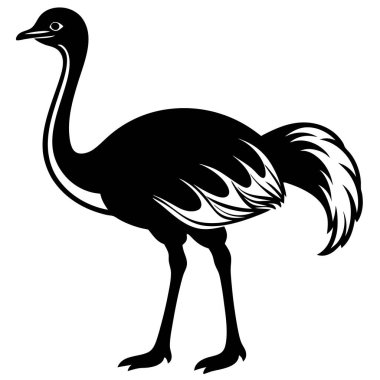 Devekuşunun vektör çizimi