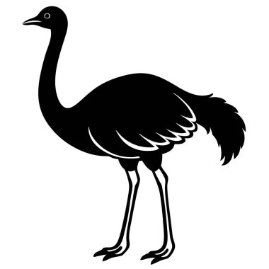 Devekuşu vektör simgesi. Beyaz arkaplan devekuşu kuşunda siyah vektör simgesi izole edildi