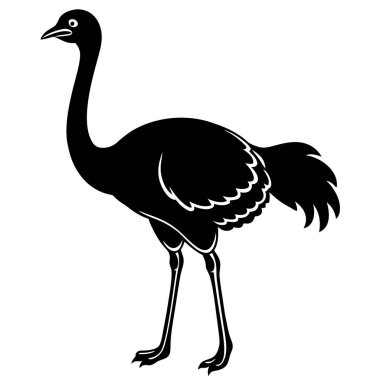 Beyaz arkaplanda siyah vektör devekuşu