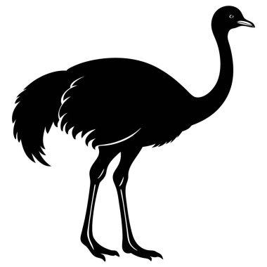 Afrika flamingo kuş vektör çizimi