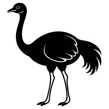 Afrika flamingo kuş vektör çizimi