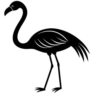 Afrika flamingo kuş vektör çizimi