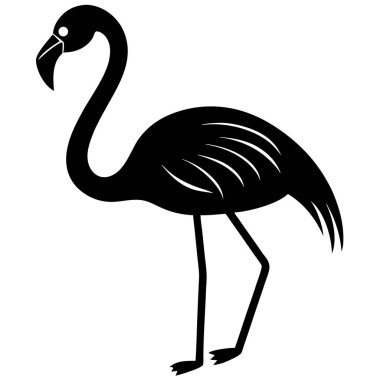 Afrika flamingo kuş vektör çizimi