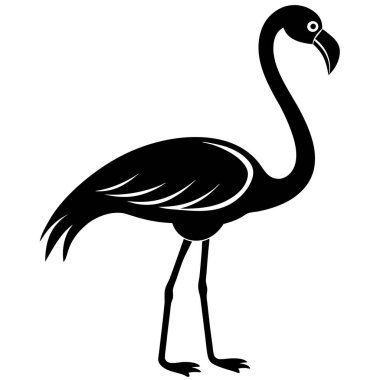 Afrika flamingo kuş vektör çizimi