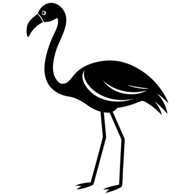 Afrika flamingo kuş vektör çizimi