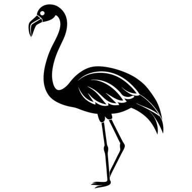 Beyaz arkaplandaki flamingo kuşunun vektör silueti.