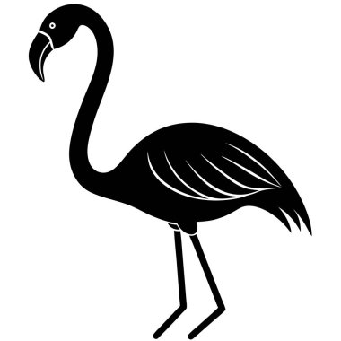 Beyaz arkaplanda bir flamingonun vektör silueti.