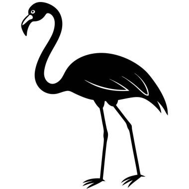 Beyaz arkaplanda bir flamingonun vektör silueti.