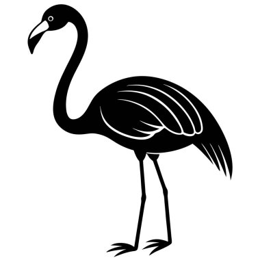 Beyaz arkaplanda bir flamingonun vektör silueti.
