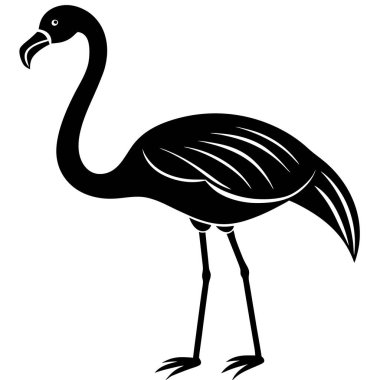 Beyaz arkaplanda bir flamingonun vektör silueti.