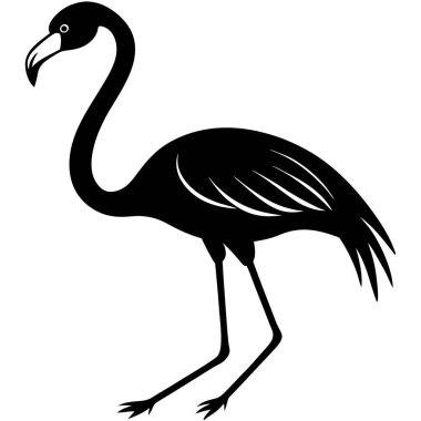 Beyaz arkaplanda bir flamingonun vektör silueti.
