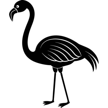 siyah flamingo, vektör, resimleme, siyah, beyaz