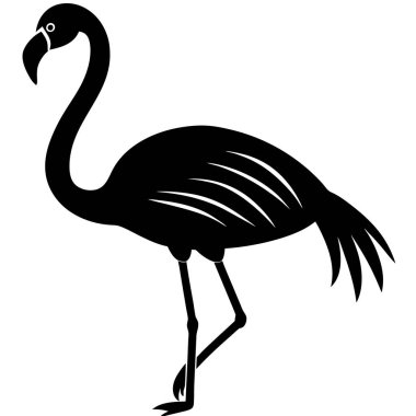 siyah flamingo, vektör, resimleme, siyah, beyaz