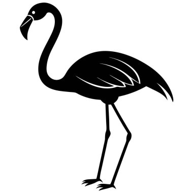 siyah flamingo, vektör, resimleme, siyah, beyaz