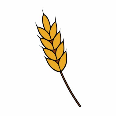 Buğday kulağı simgesi vektör sanat silueti