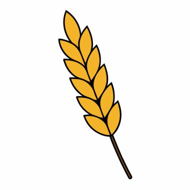 Buğday kulak vektörü sanat silueti