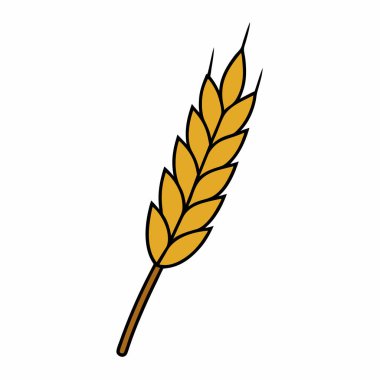 Buğday kulak vektörü sanat silueti