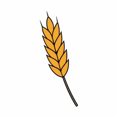 Buğday kulak vektörü sanat silueti