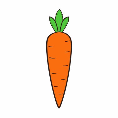 Havuç ve vektör sanat silueti izole