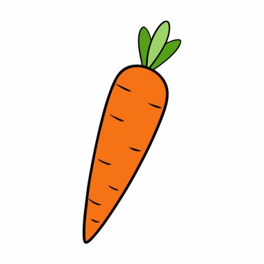 Havuç simgesi vektör sanat siluetini izole et