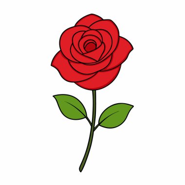 Renkli Gül Çiçeği Sanat Tasarımı Tecrit Edildi