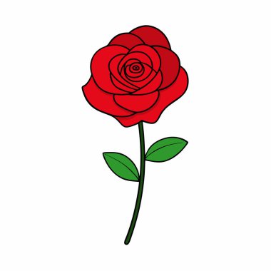 Renkli Gül Çiçeği Sanat Tasarımı Tecrit Edildi