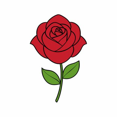 Renkli Gül Çiçeği Sanat Tasarımı Tecrit Edildi