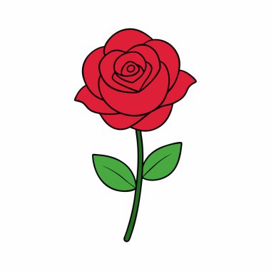 Renkli Gül Çiçeği Sanatı İzole Edildi