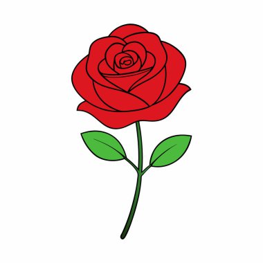 Renkli Gül Çiçeği Sanatı İzole Edildi