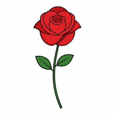 Vektör Gül Çiçeği Resim Çizimi İzole Edildi