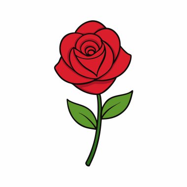 Vektör Gül Çiçeği Sanatı İzole Edildi